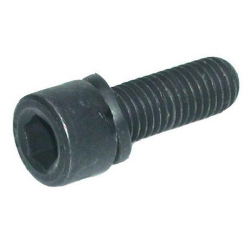 Inbusbouten M 16X55