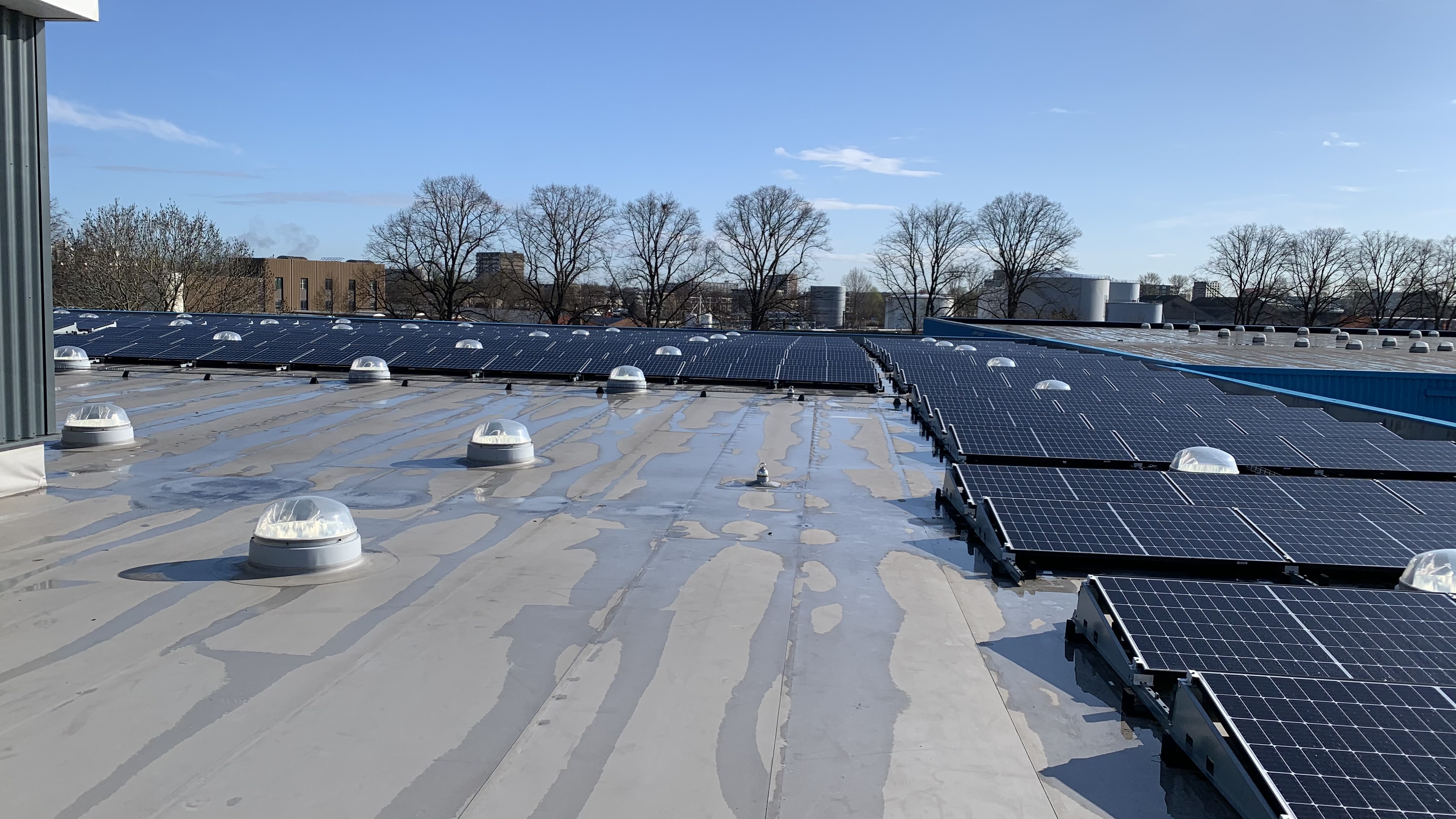 Zonnepanelen en Solatubes op het dak van Leeuwtechniek in Zwolle